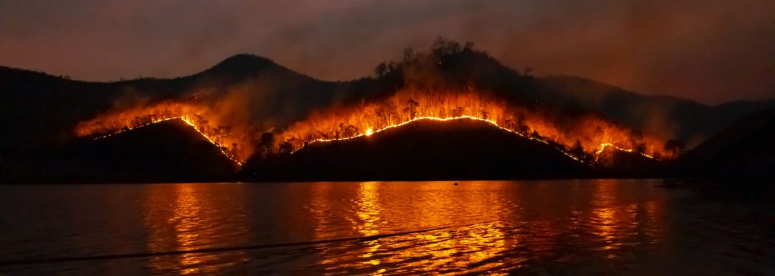 Incêndio florestal: como agir antes, durante e depois