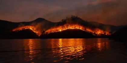 Incêndio florestal: como agir antes, durante e depois