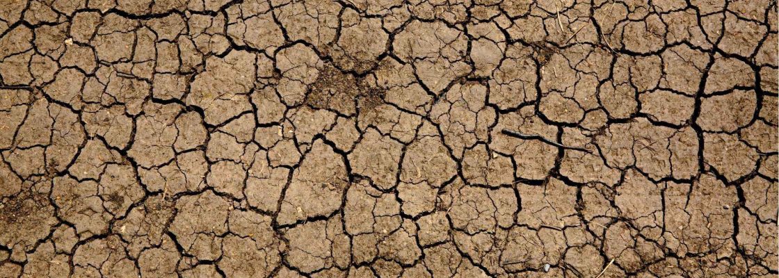 Período de seca: como agir