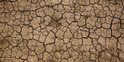 Período de seca: como agir
