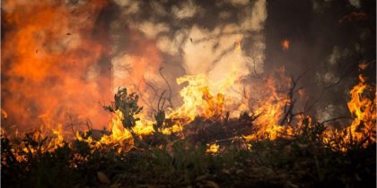 Governo prorroga período crítico de incêndios