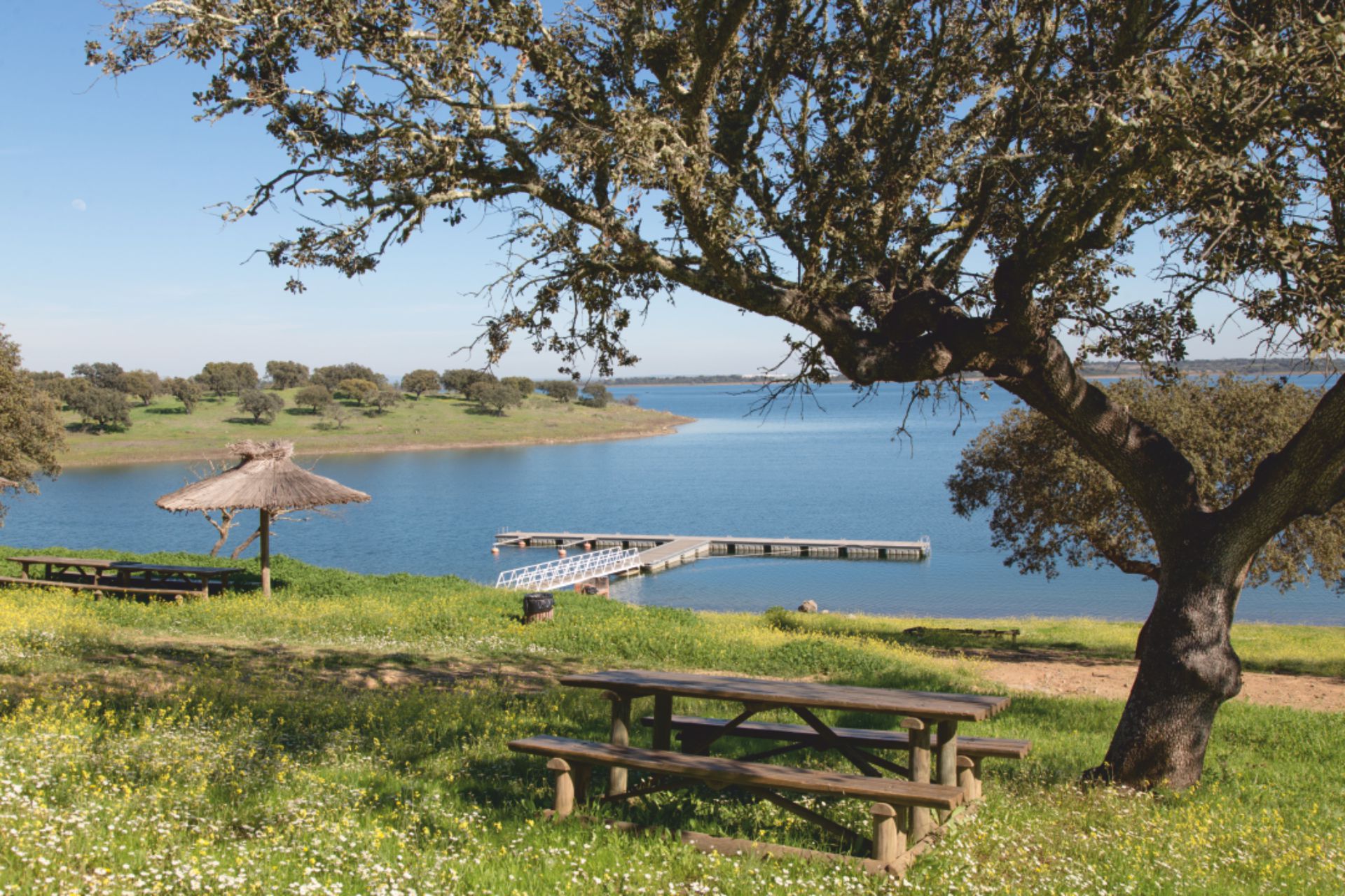 Parque de merendas do Campinho