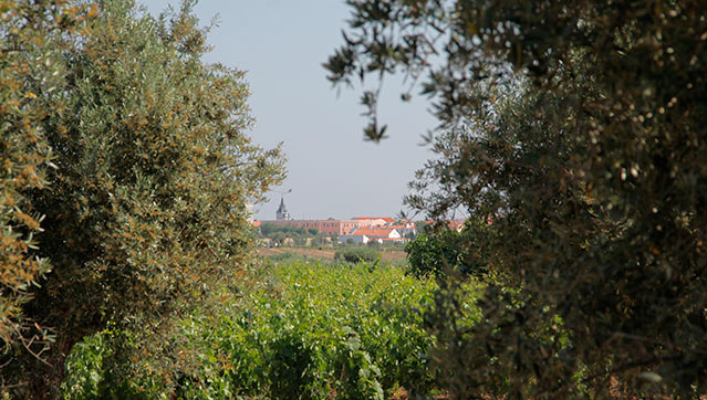 Reguengos de Monsaraz