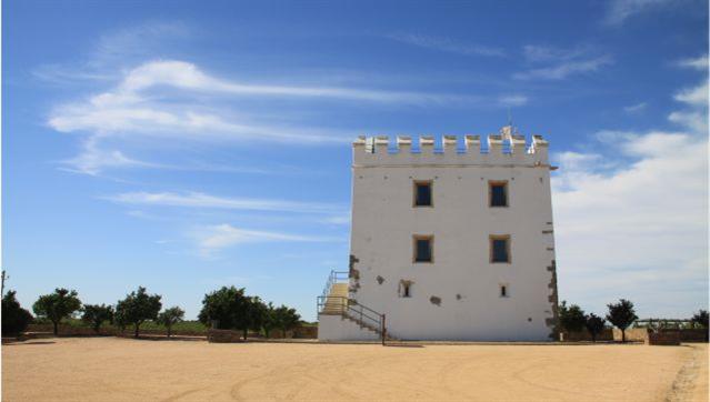 Torre do Esporão | Museu Arqueológico do Complexo dos Perdigões