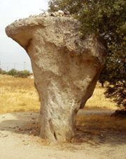 namorados