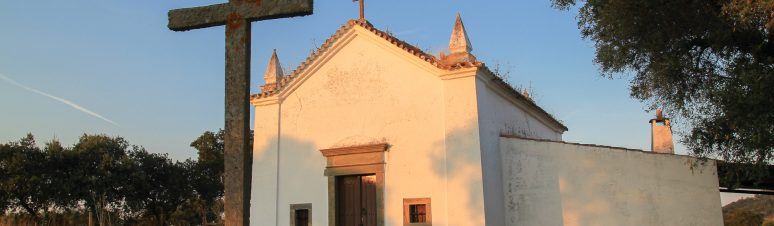 IMG_5643