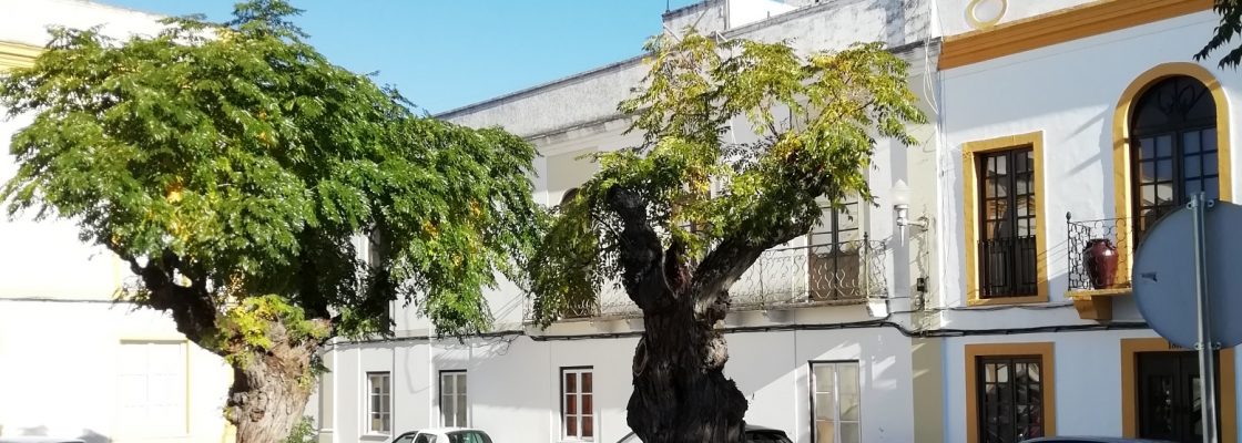 Praça de Santo António