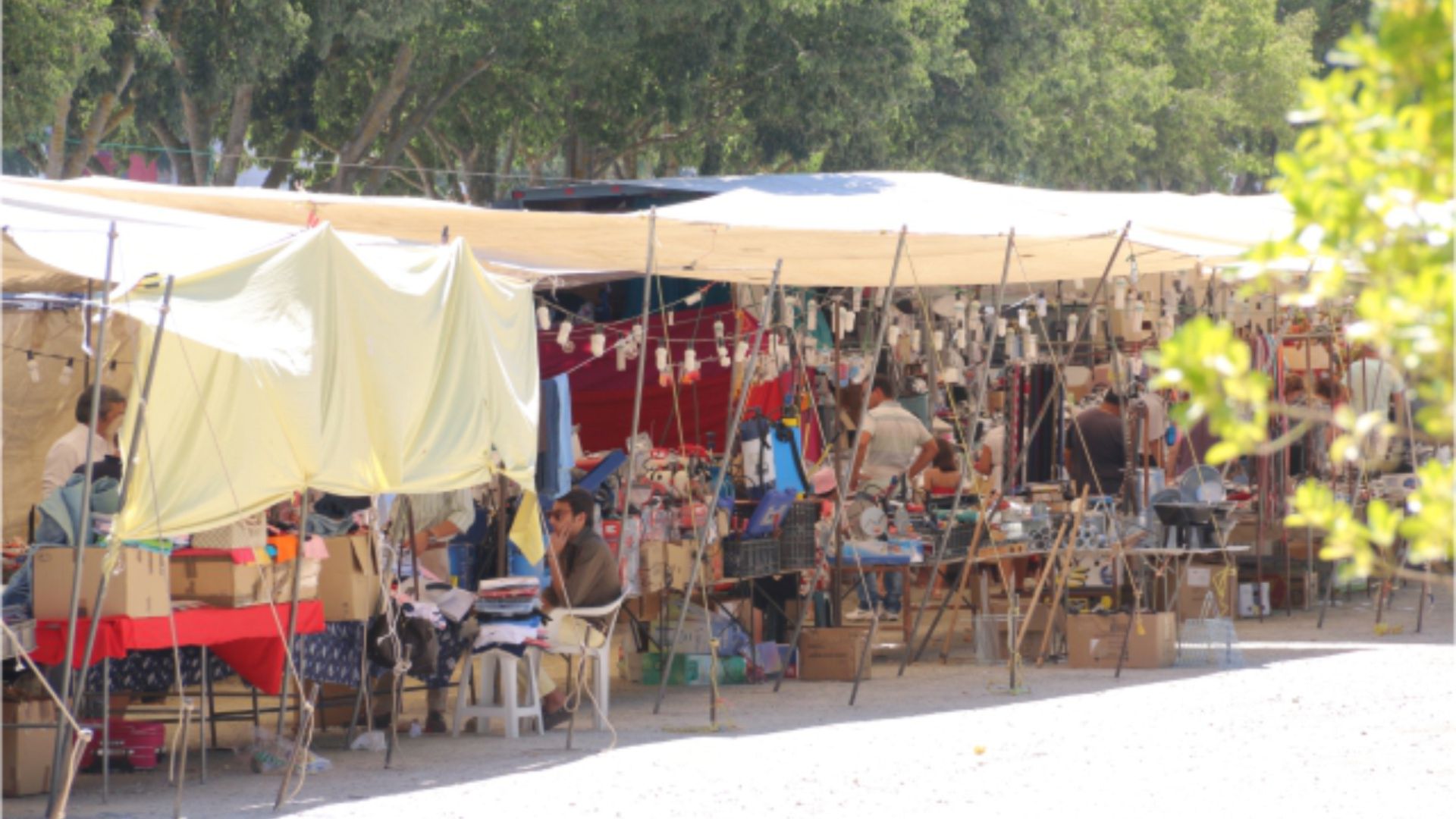 mercado de levante