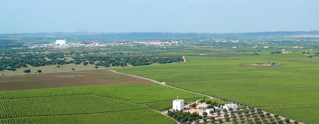 Herdade do Esporão