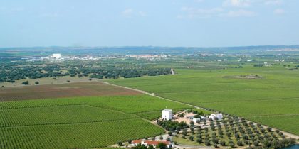 Reguengos de Monsaraz representado com três nomeações para os Prémios Alentejo