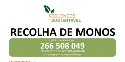 Recolha de Monos | 266 508 049