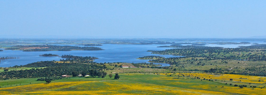 Município de Reguengos de Monsaraz chama os artistas para participarem no concurso Archi’Nature