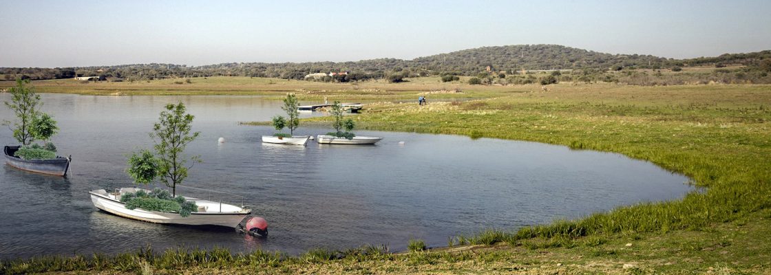 Vencedor do Archi’Nature 2022 propõe paisagem cénica de árvores dentro de jangadas e barcos ...