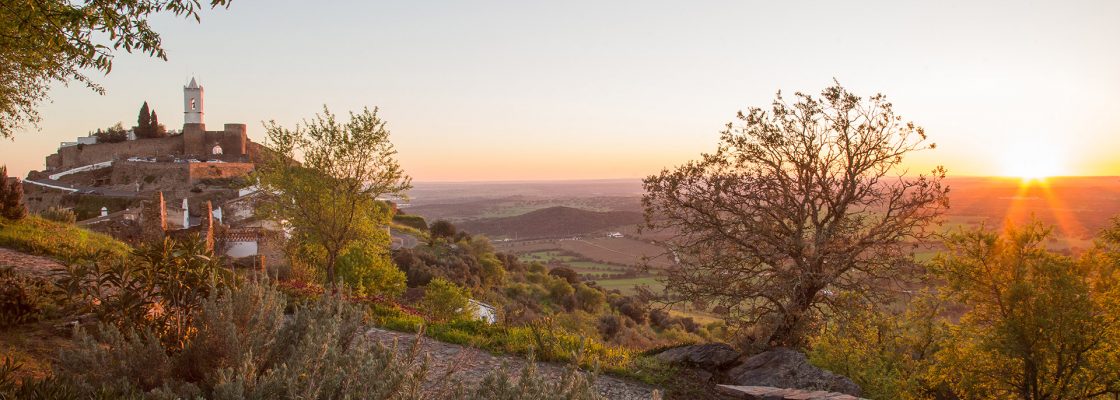 Município de Reguengos de Monsaraz lança VisitReguengos nas redes sociais