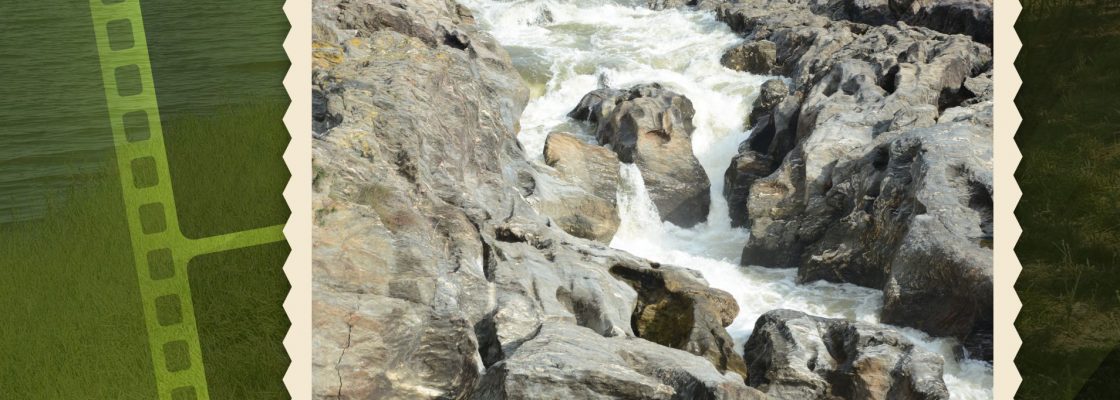 Arquivado: “Observações sobre a Natureza” exposição de fotografia de Carlos Janes