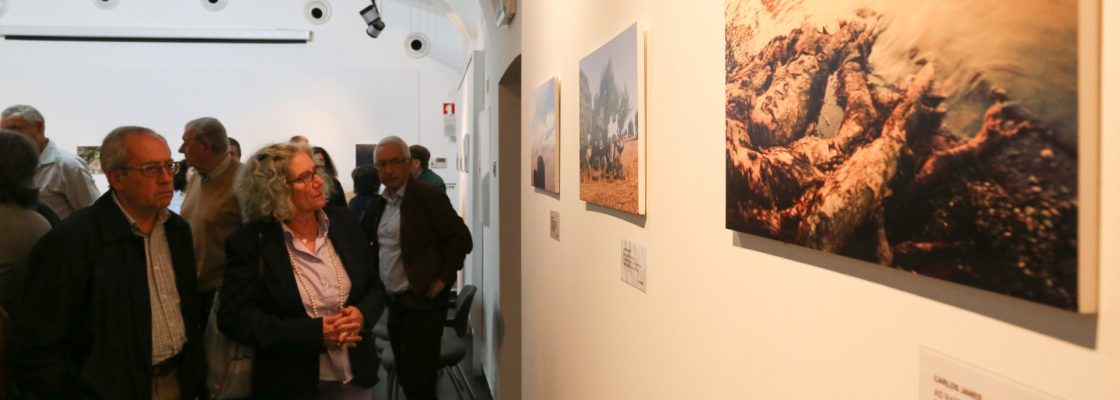 Exposição de fotografia “Observações sobre a natureza” na Biblioteca Municipal de Regueng...