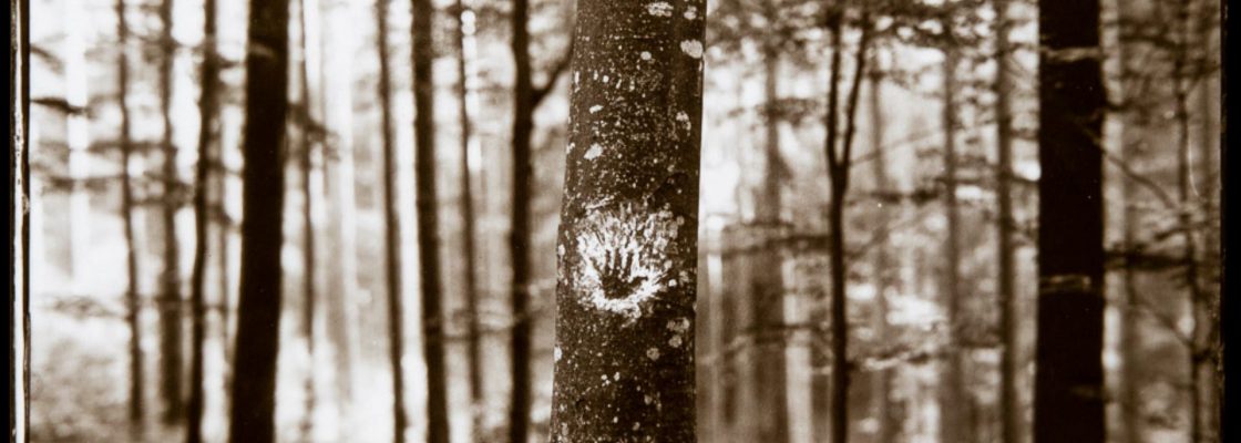 “A new earth / Silence” exposição de Borut Peterlin | 17 maio – 7 julho