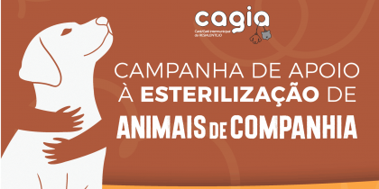 Candidatura a apoio à esterilização de animais de companhia