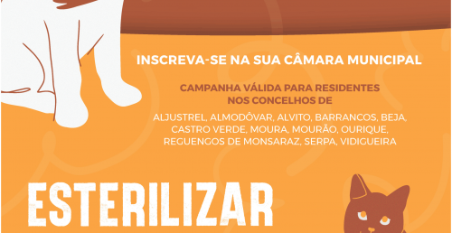 Candidatura a apoio à esterilização de animais de companhia