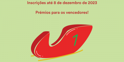 Corrida de Trenós de Rolamentos