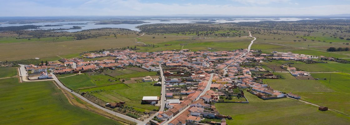 Município de Reguengos de Monsaraz não utiliza glifosato há dois anos para eliminar as ervas n...