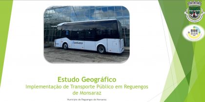 Estudo de Viabilidade Financeira para a Implementação de Transportes Públicos na Cidade de Reguengos de Monsaraz