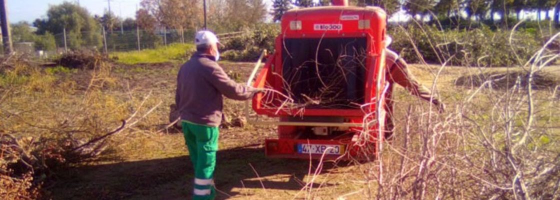 Trabalhos de poda e trituração de sobrantes
