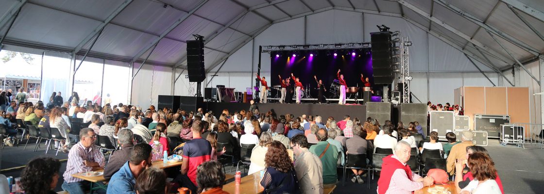 Festa Ibérica da Olaria e do Barro junta 48 olarias e ceramistas de Portugal e Espanha em São P...