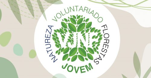 “Brigada Verde” | Candidaturas abertas para o programa “Voluntariado Jovem para a Natureza e Florestas”