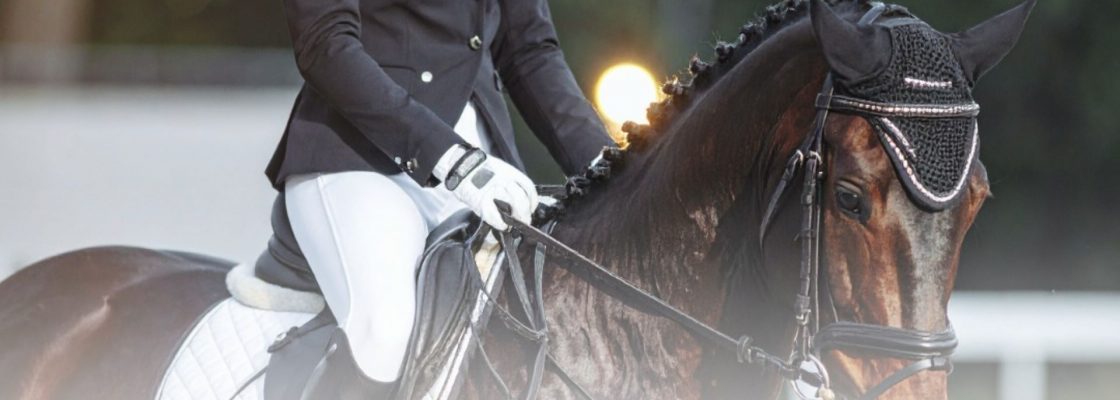 ExpoReg 2025 | EquiEvents – Competição de Dressage Regional
