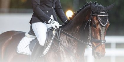 ExpoReg 2025 | EquiEvents – Competição de Dressage Regional