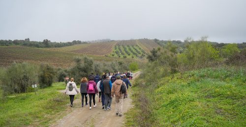 Percursos pedestres convidam a explorar o concelho de Reguengos de Monsaraz durante todo o ano