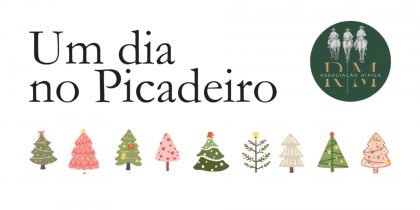 Associação Hípica RM | Atividades de Natal