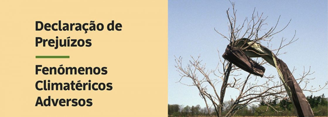 Declaração de Prejuízos – Fenómenos Climatéricos Adversos