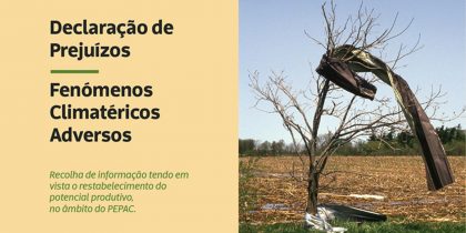 Declaração de Prejuízos – Fenómenos Climatéricos Adversos
