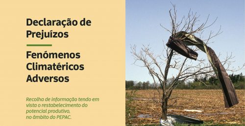 Declaração de Prejuízos – Fenómenos Climatéricos Adversos