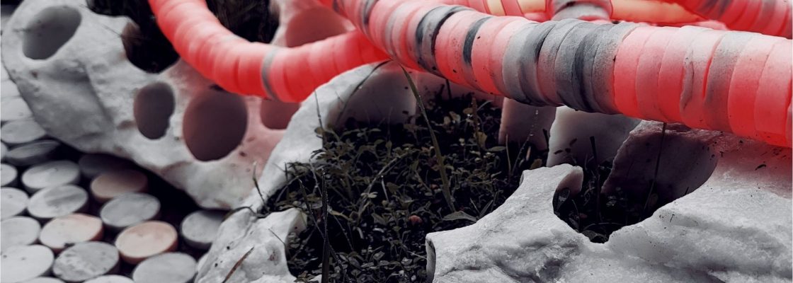 Exposição | “Em nome de uma coisa – As hóstias da Terra”