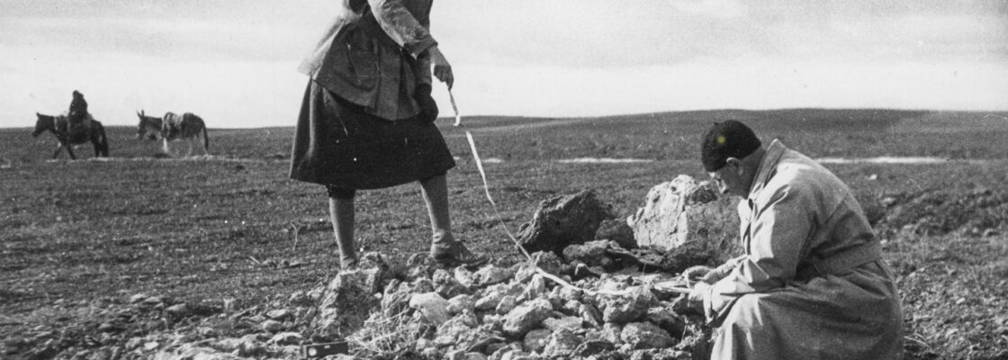 Exposição revela o legado do Arquivo Leisner e a riqueza arqueológica de Reguengos de Monsaraz