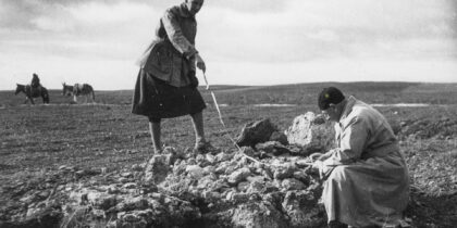 Exposição revela o legado do Arquivo Leisner e a riqueza arqueológica de Reguengos de Monsaraz