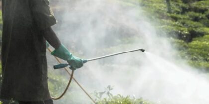 Aplicação de produto fitofarmacêutico (herbicida) na área periurbana de Reguengos de Mosaraz