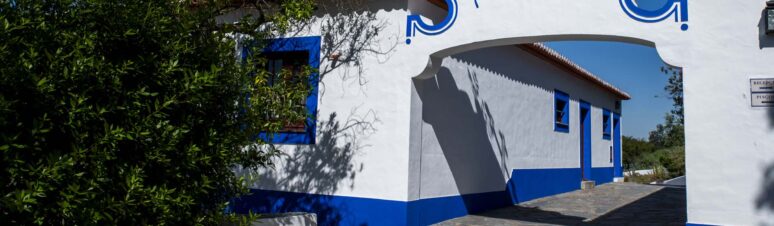 Horta da Moura (4)